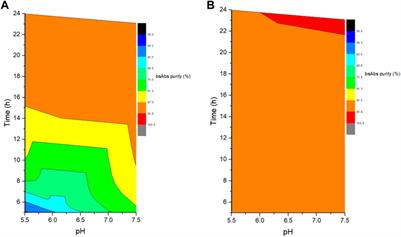 Large scale controlled Fab exchange GMP process to prepare bispecific antibodies